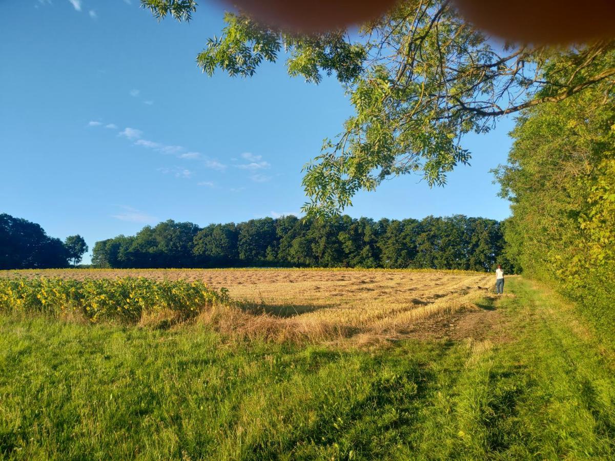 Haus Ringgau - Urlaub, Gemeinschaft Und Erlebnis Im Herzen Von Deutschland Herleshausen ภายนอก รูปภาพ