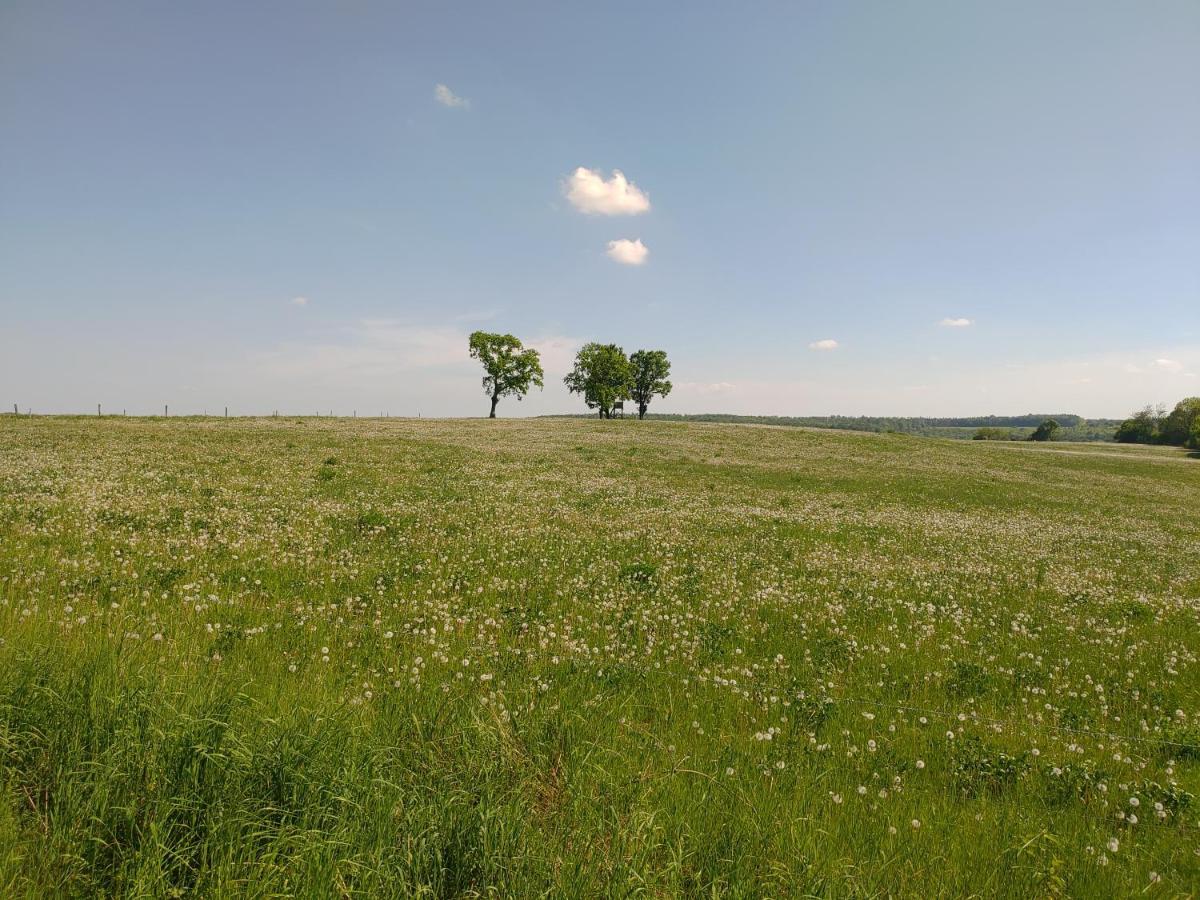 Haus Ringgau - Urlaub, Gemeinschaft Und Erlebnis Im Herzen Von Deutschland Herleshausen ภายนอก รูปภาพ