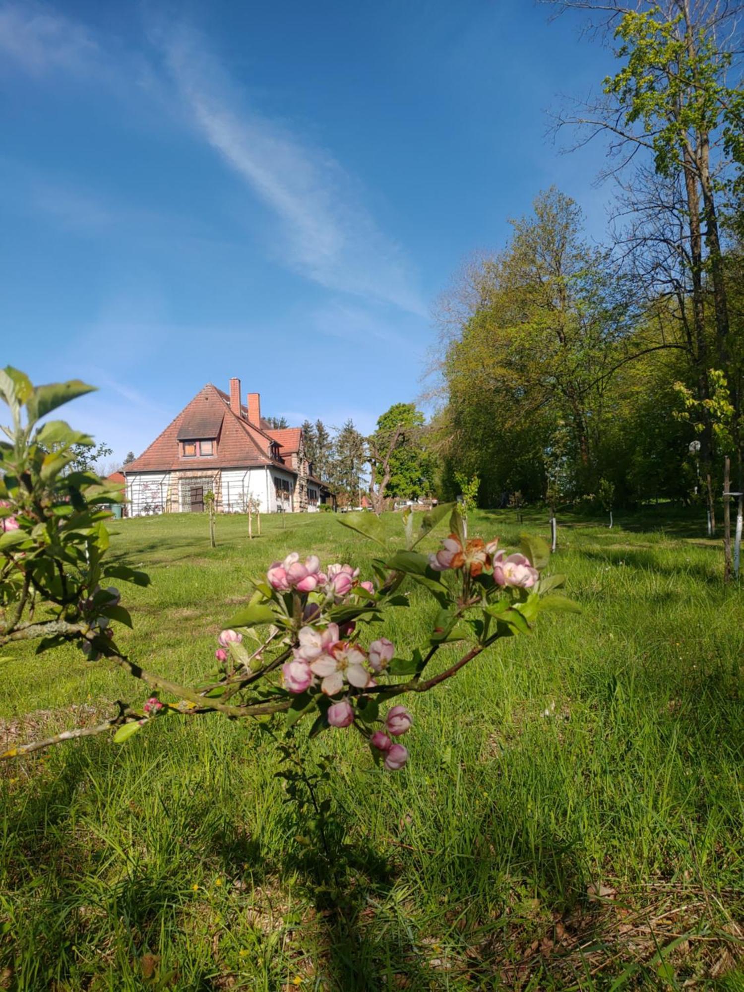 Haus Ringgau - Urlaub, Gemeinschaft Und Erlebnis Im Herzen Von Deutschland Herleshausen ภายนอก รูปภาพ